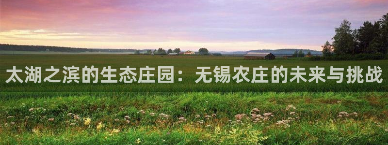 九游会 官网ag