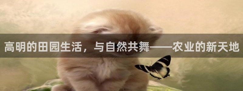 九游会真人官网