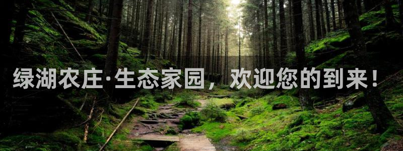 九游会无法登录游戏吗