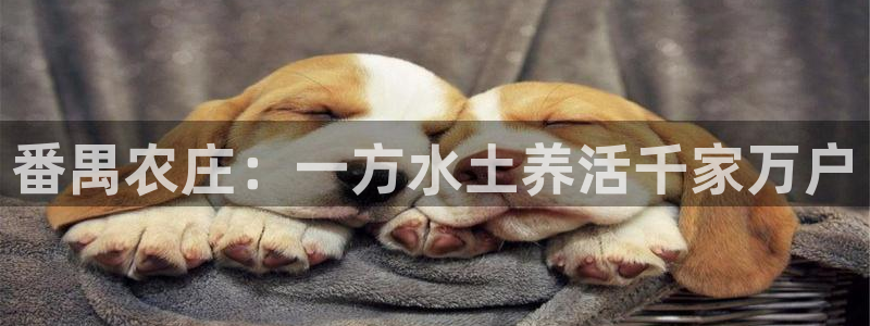 j9九游会app