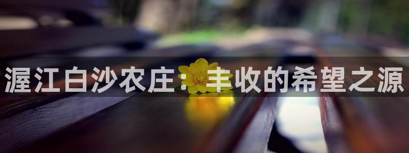 ag九游会老哥