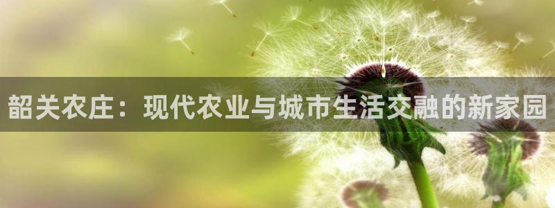 AG九游会登陆网址