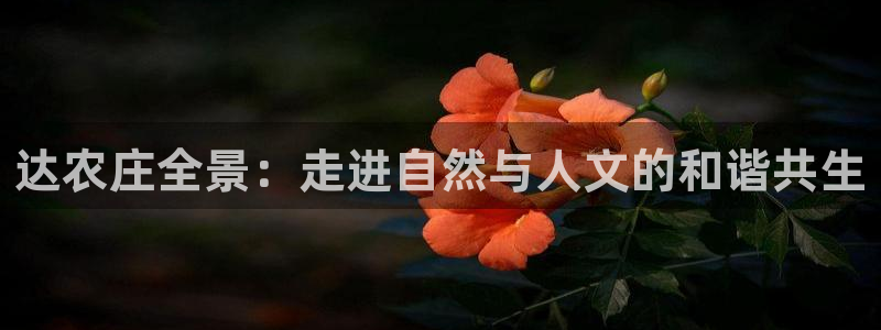 j9九游会最新网站