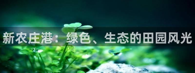 九游会亚洲公司