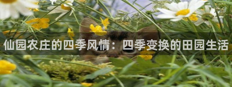 j9九游会老哥俱乐部
