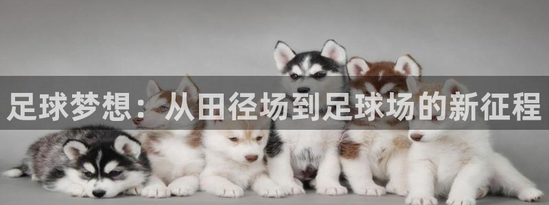 九游会官网真人