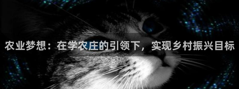 九游会赌场在哪