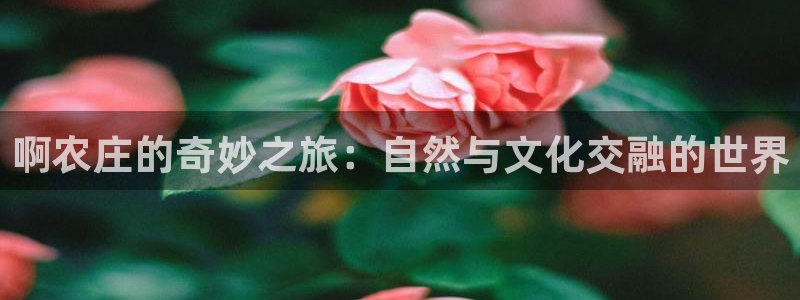 九游会亚洲集团