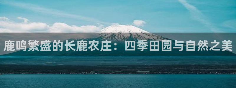 j92019九游会