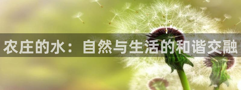 九游会黑网投诉吗