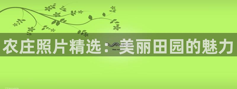 泰国九游会
