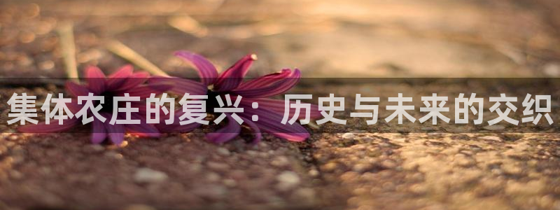 j9九游会登陆