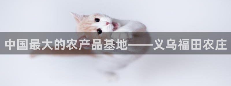 九游会官网首页登录