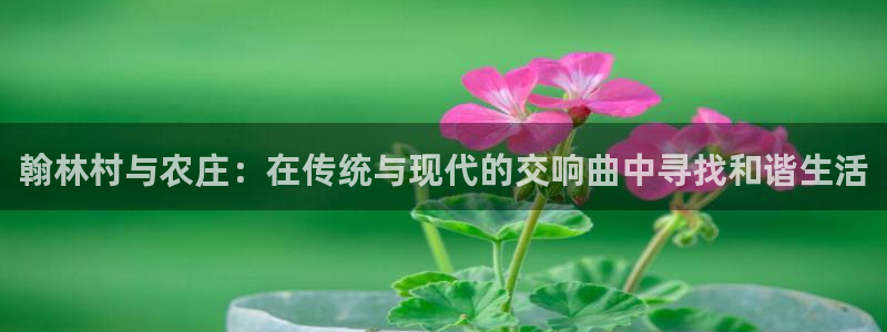 九游会冻结