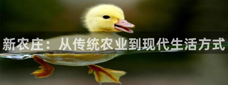 久游九游会