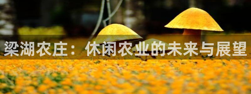 九游会 网址