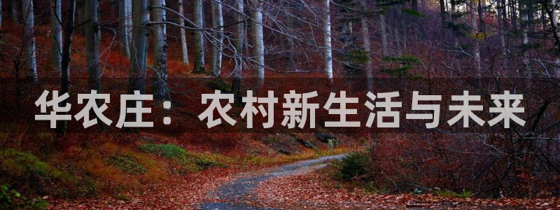 九游会黑网