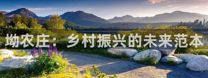 亚洲AG九游会