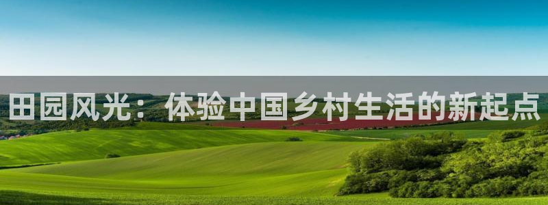 九游会担保