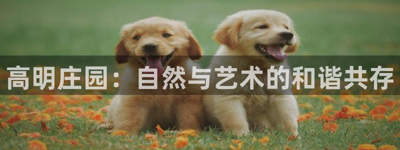 九游会最新登录首页