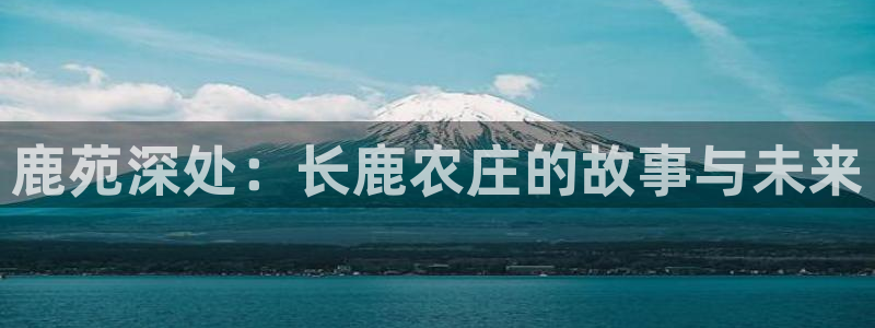九游会入口网址