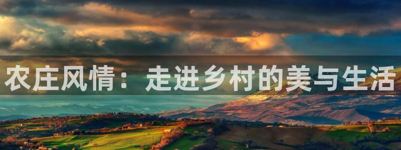 九游会黑台