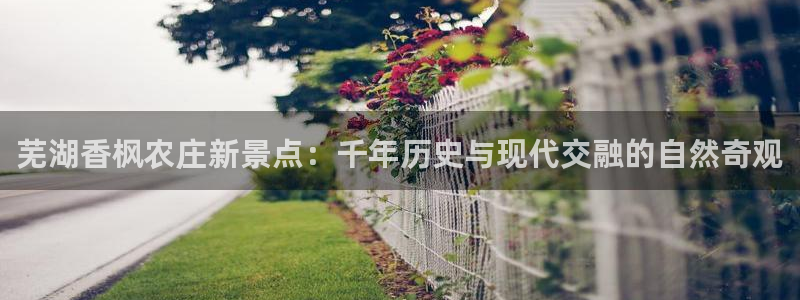 九游会备用