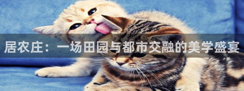 九游会代理
