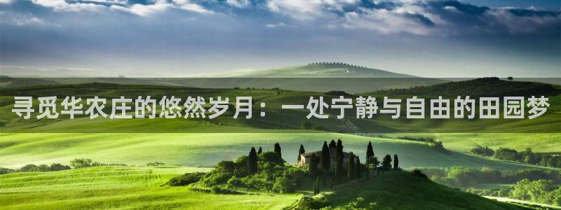 九游会贷款