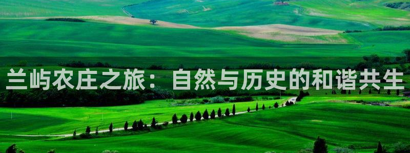 九游会砸金蛋