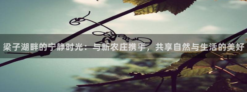 九游会旧版网址