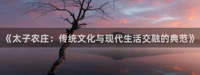 九游和九游会的区别