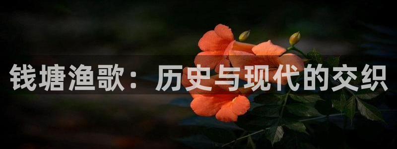 九游会j9是什么意思