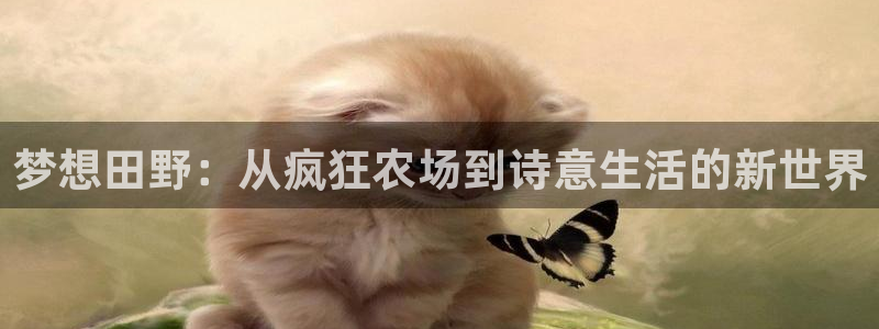 九游会国际娱乐