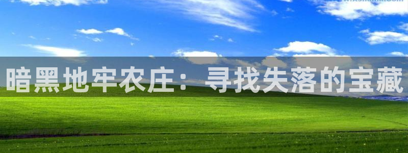 九游会波胆