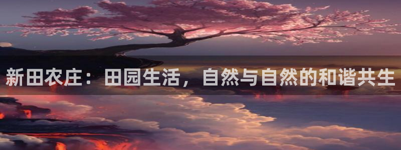 j9834九游会