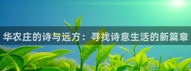 ag变为九游会