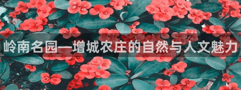 九游会能不能信