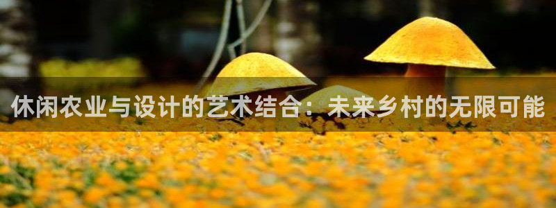 九游会j 9