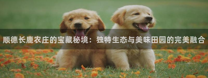 j9九游会-九游会官网
