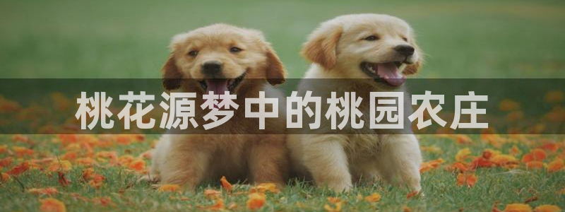 九游会app下载-首页