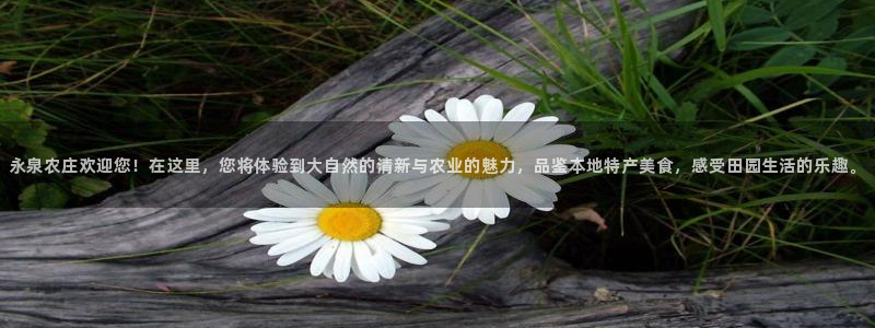 九游会J9中国官方网站