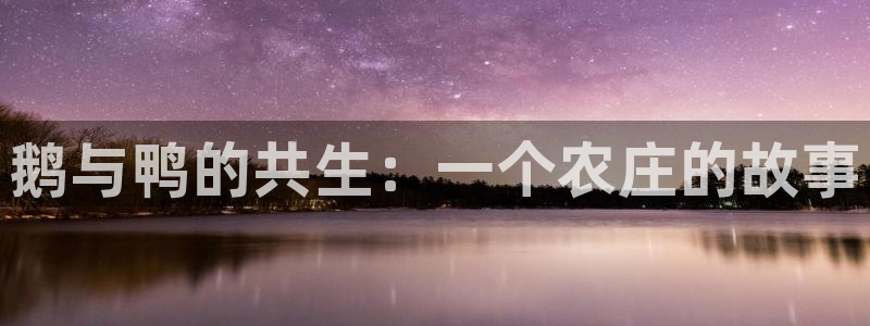 亚游游戏九游会