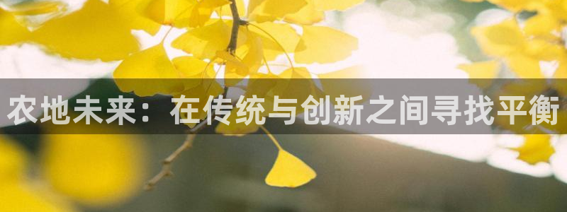 九游会登录地址