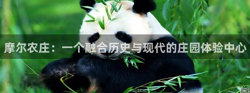 九游会官网入口在哪里