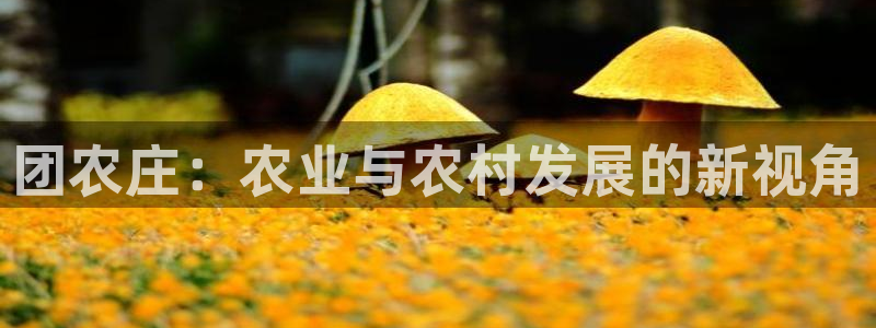 j9九游会一直打不开