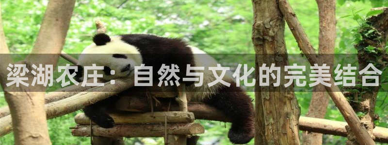 九游为何会测出病毒数据