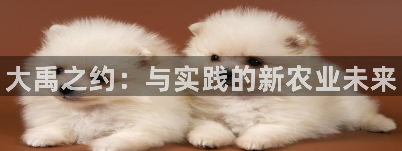 ag亚洲九游会登录