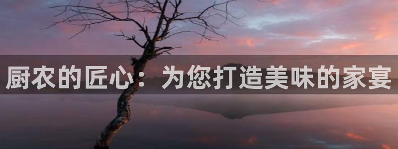 j9九游会登陆旧版