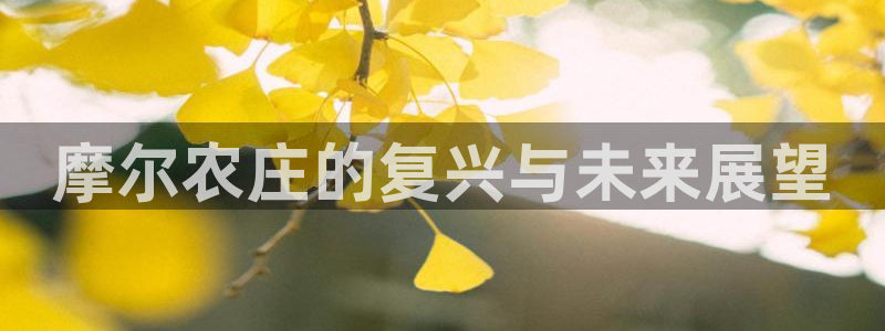 老哥会APP九游会